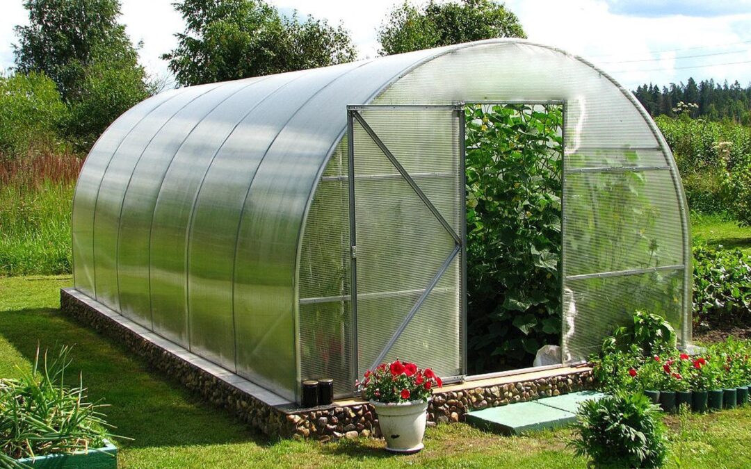 A greenhouse that feels like home from the first season.