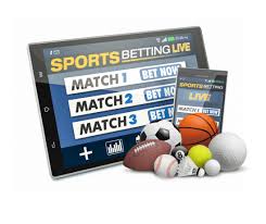 Discover the World of Betwinner Your Ultimate Guide to Betting Success
