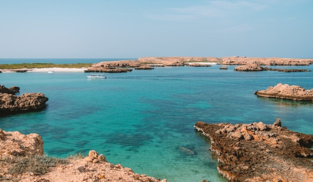 Join Guided Scuba Diving Tours with Certified Experts